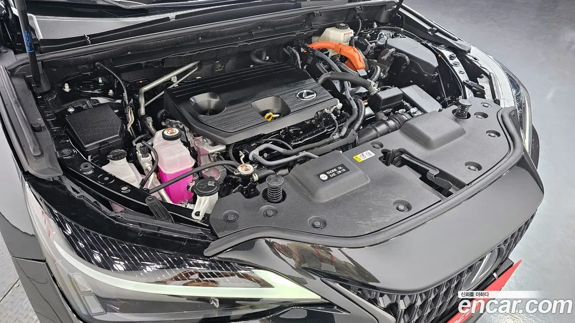 Lexus NX 2024 из KR, фото 8