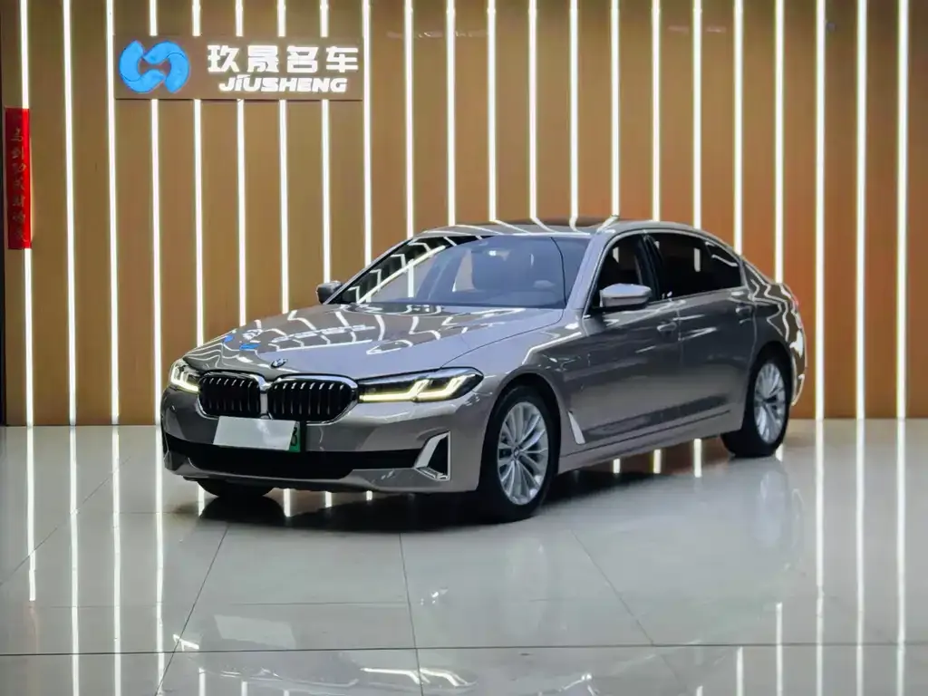 BMW 5 Series New Energy 2021 из CN, фото 1
