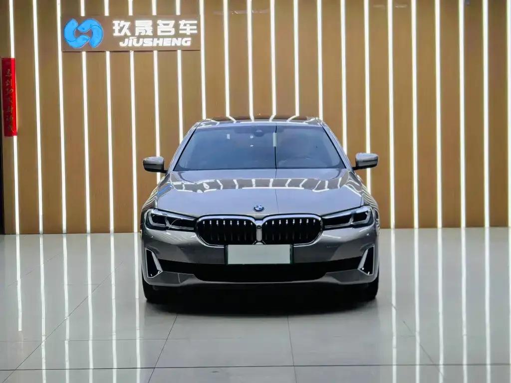 BMW 5 Series New Energy 2021 из CN, фото 2