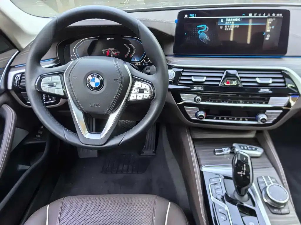 BMW 5 Series New Energy 2021 из CN, фото 5