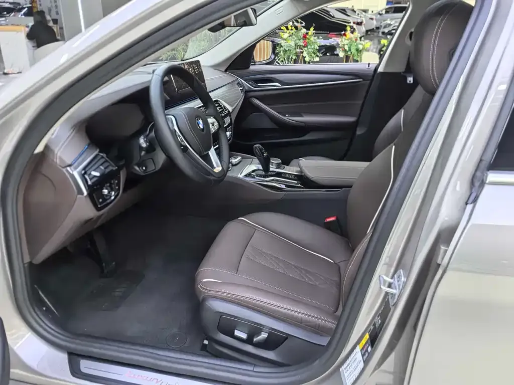 BMW 5 Series New Energy 2021 из CN, фото 9