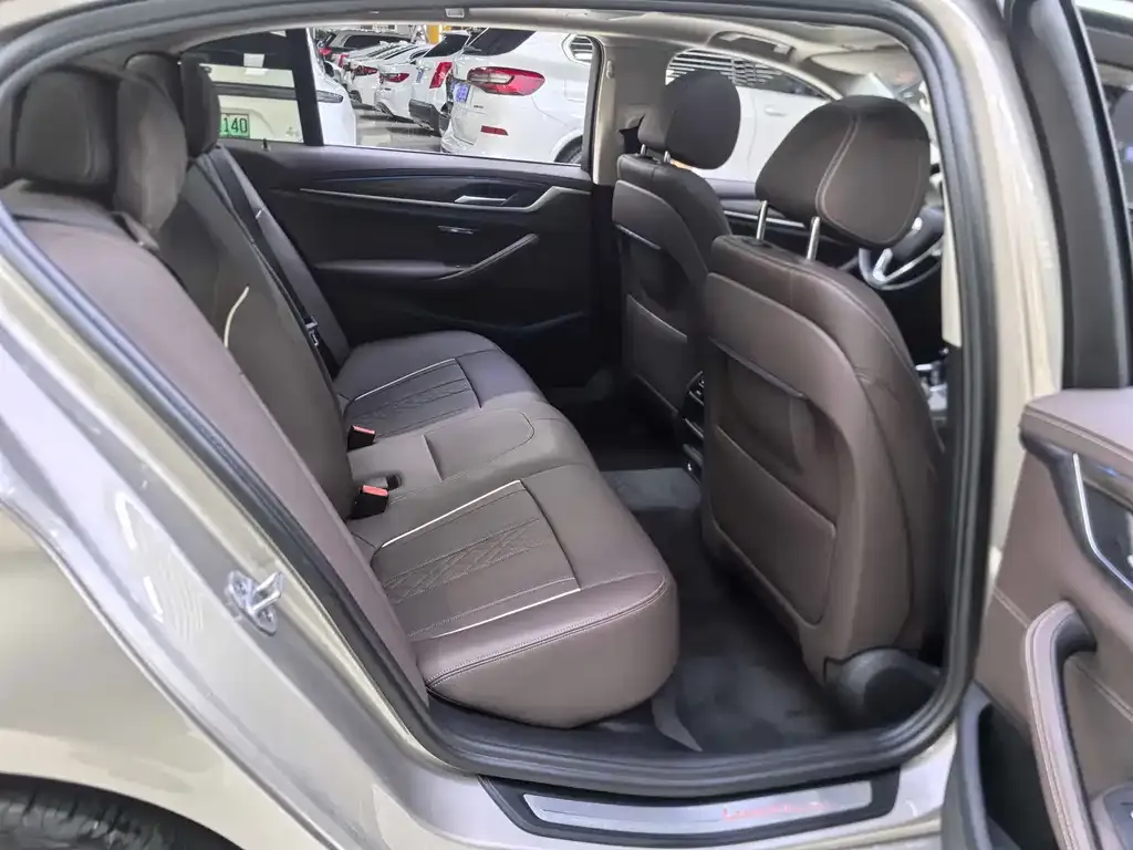 BMW 5 Series New Energy 2021 из CN, фото 8