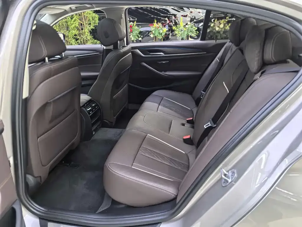 BMW 5 Series New Energy 2021 из CN, фото 6