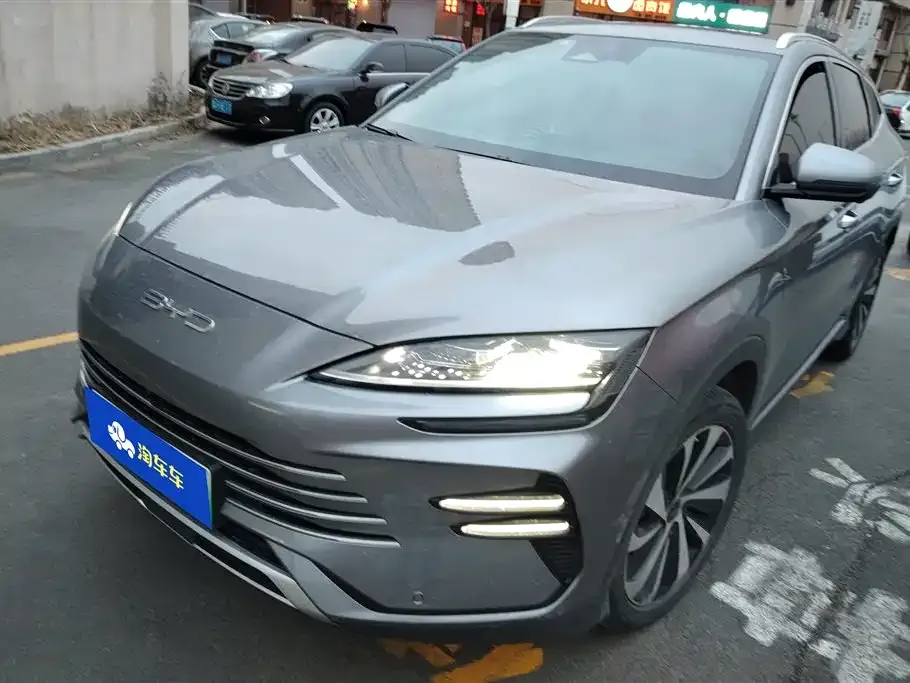 BYD PLUS New Energy — фото 1