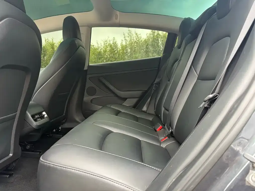 Tesla Model 3 2022 из CN, фото 5