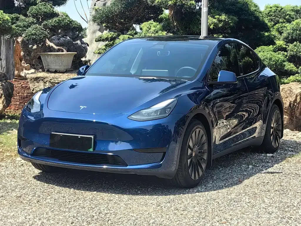Tesla Model Y — фото 1
