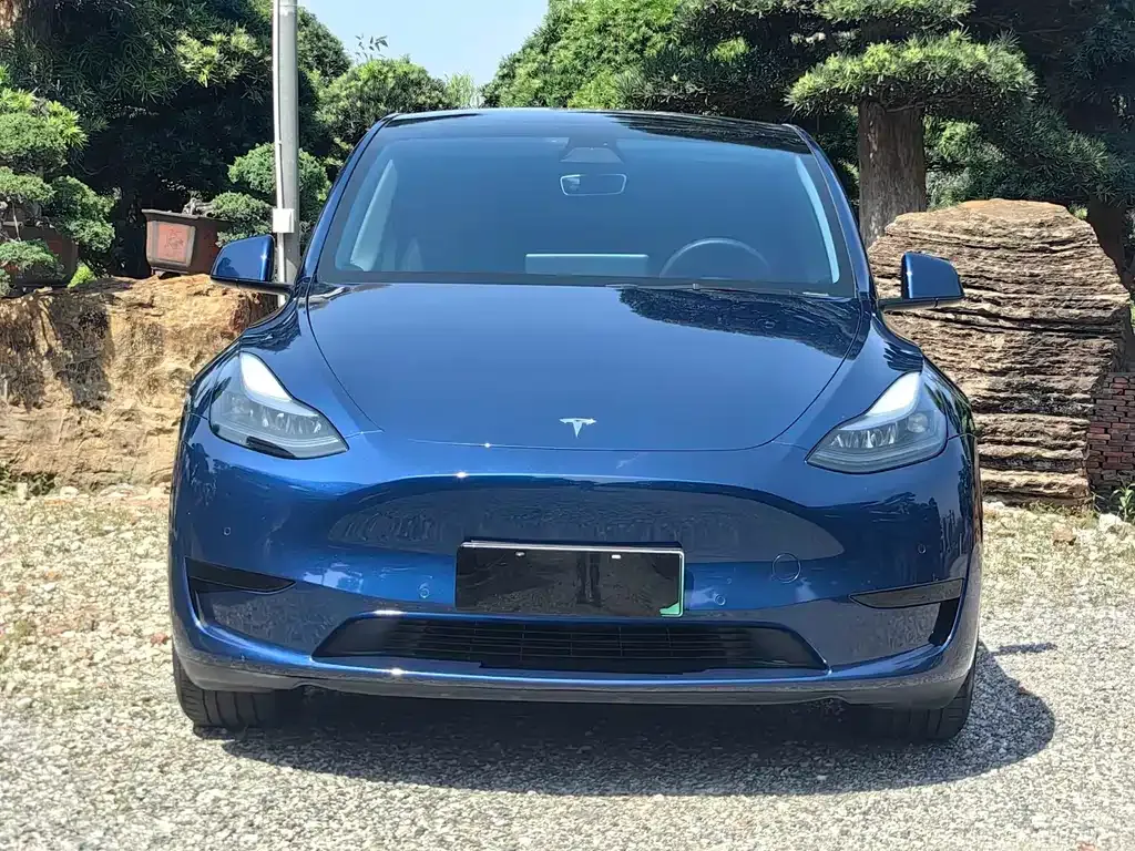 Tesla Model Y — фото 4