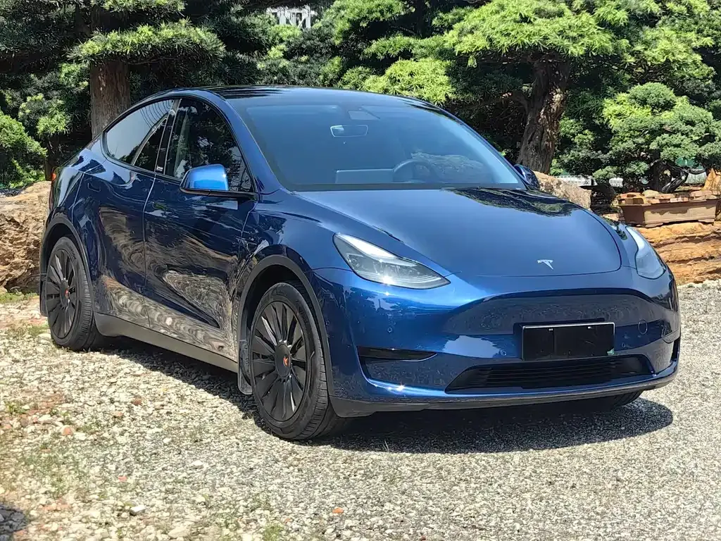 Tesla Model Y — фото 10