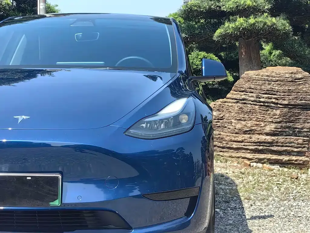 Tesla Model Y — фото 9
