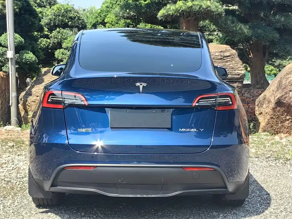 Tesla Model Y — фото 7