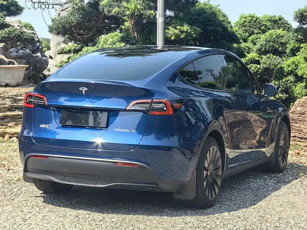 Tesla Model Y — фото 5