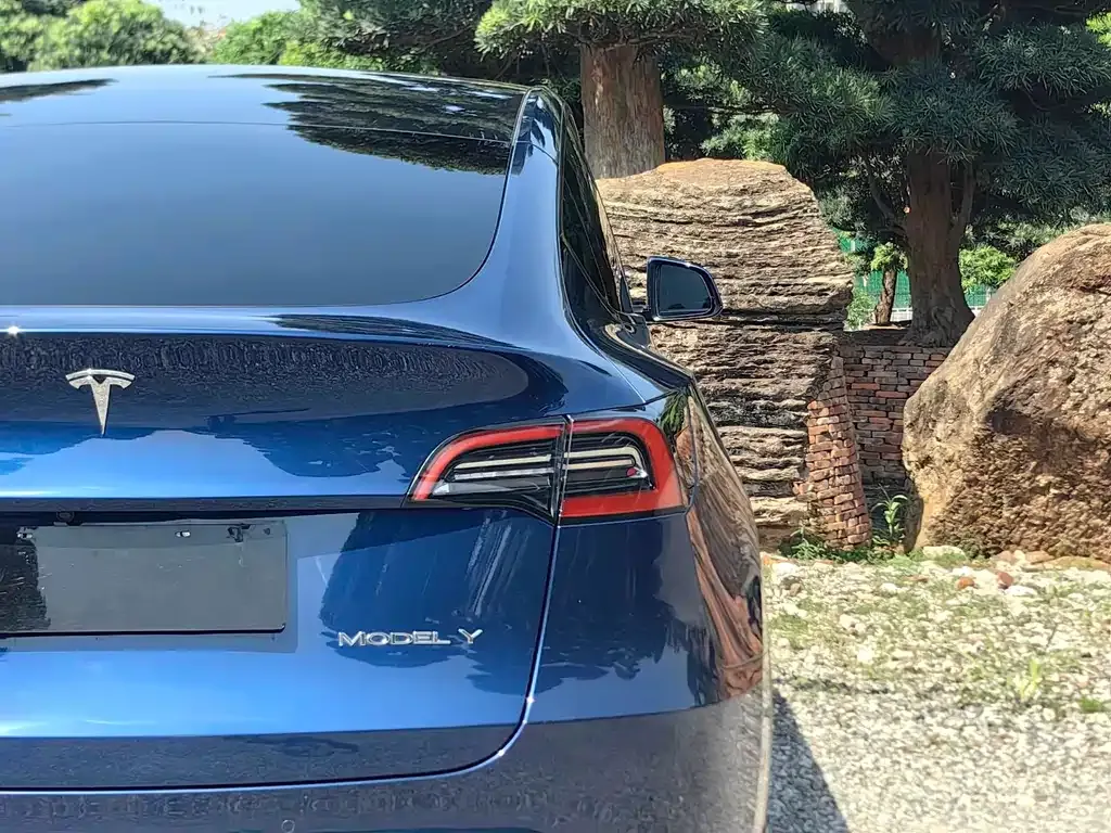 Tesla Model Y — фото 6
