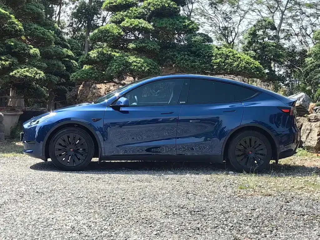 Tesla Model Y — фото 8