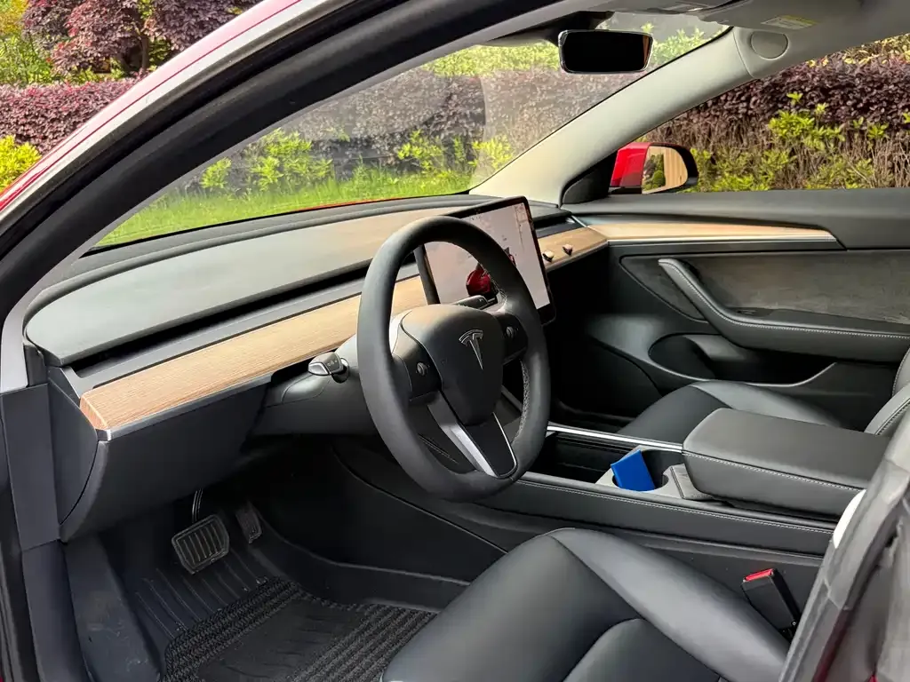 Tesla Model 3 2022 из CN, фото 5
