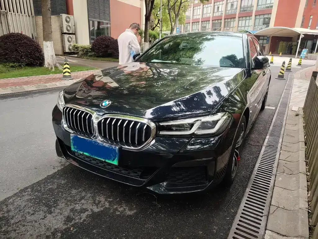 BMW 5 Series New Energy 2021 из CN, фото 1