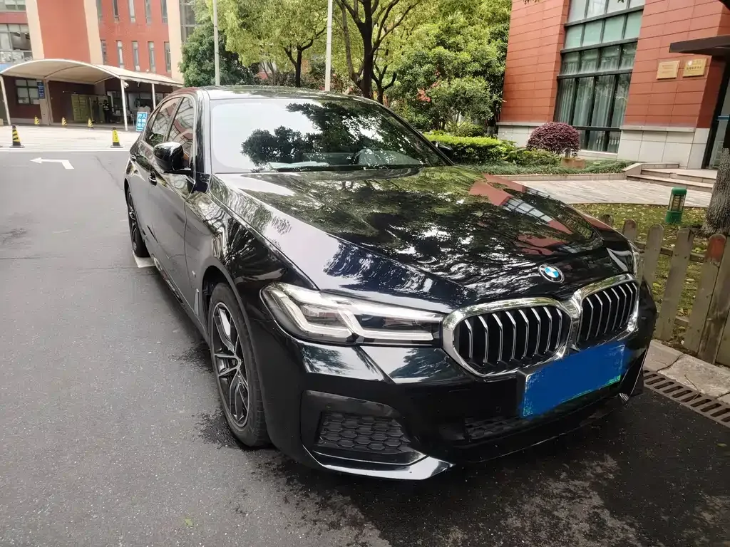 BMW 5 Series New Energy 2021 из CN, фото 3