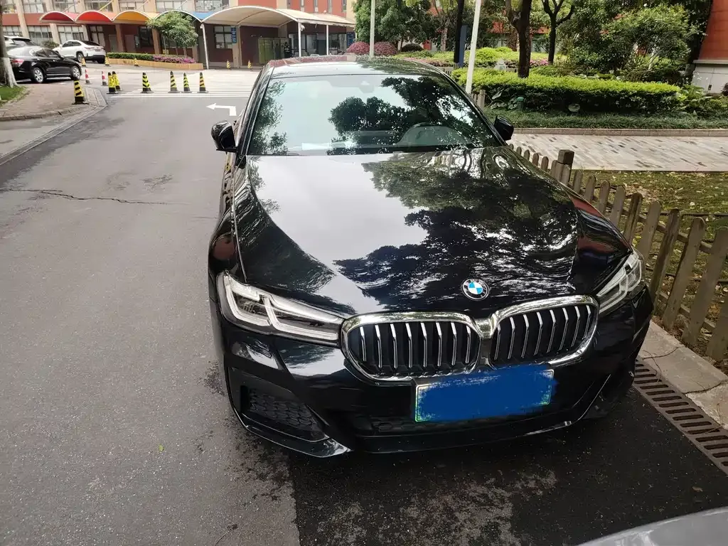 BMW 5 Series New Energy 2021 из CN, фото 4