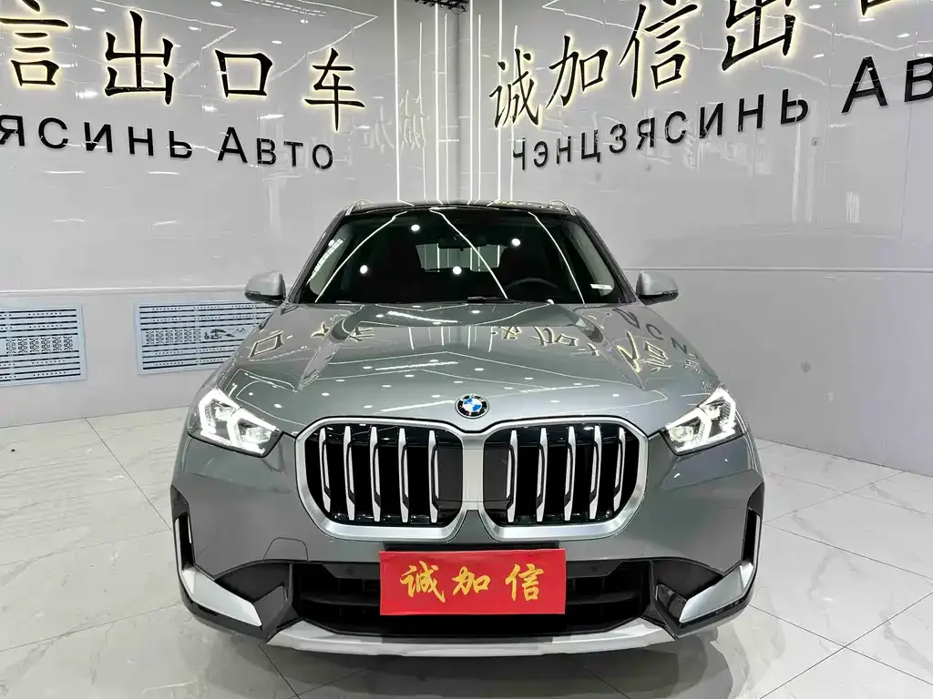 BMW X1 2023 из CN, фото 10