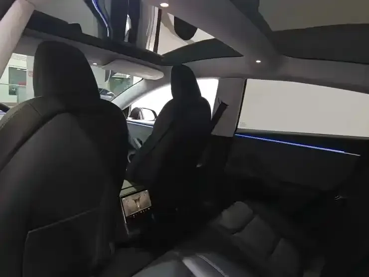 Tesla Model 3 2023 из CN, фото 2