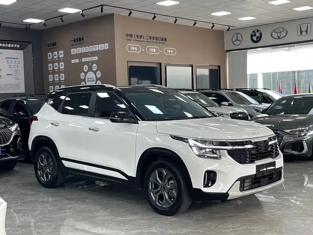 Kia Seltos 2023 из CN, фото 9