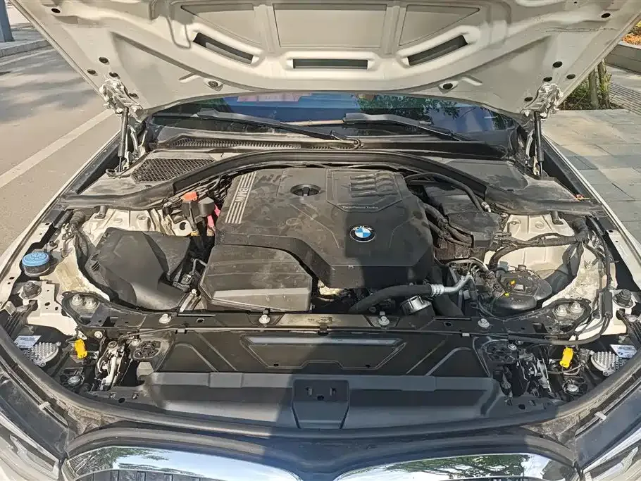 BMW 3 Series 2021 из CN, фото 4
