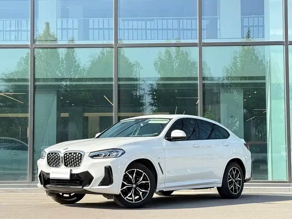BMW X4 2022 из CN, фото 1