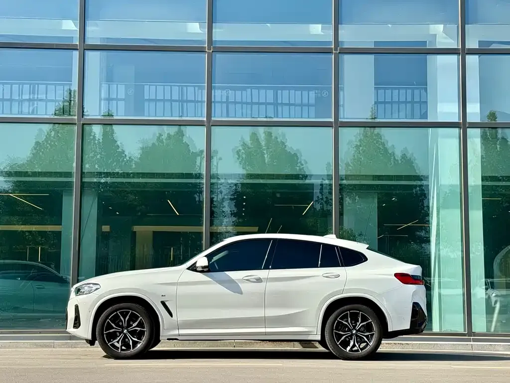 BMW X4 2022 из CN, фото 5
