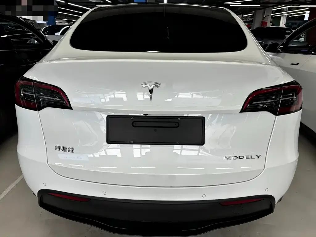 Tesla Model Y 2024 из CN, фото 4