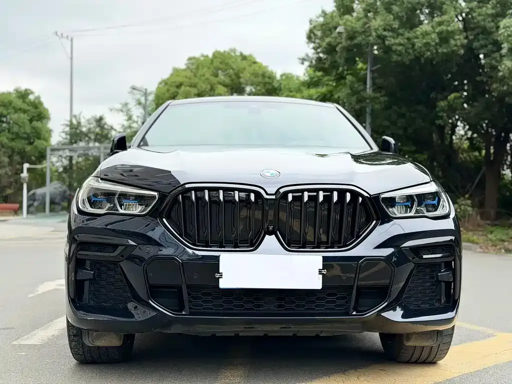 BMW X6 2023 из CN, фото 3
