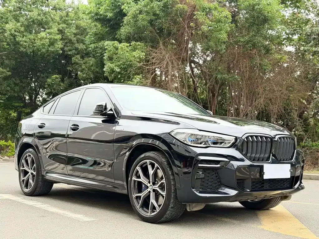BMW X6 2023 из CN, фото 7