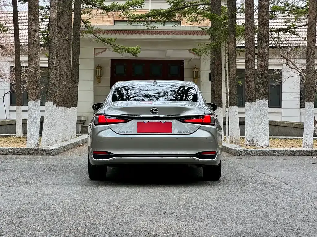 Lexus ES 2023 из CN, фото 10