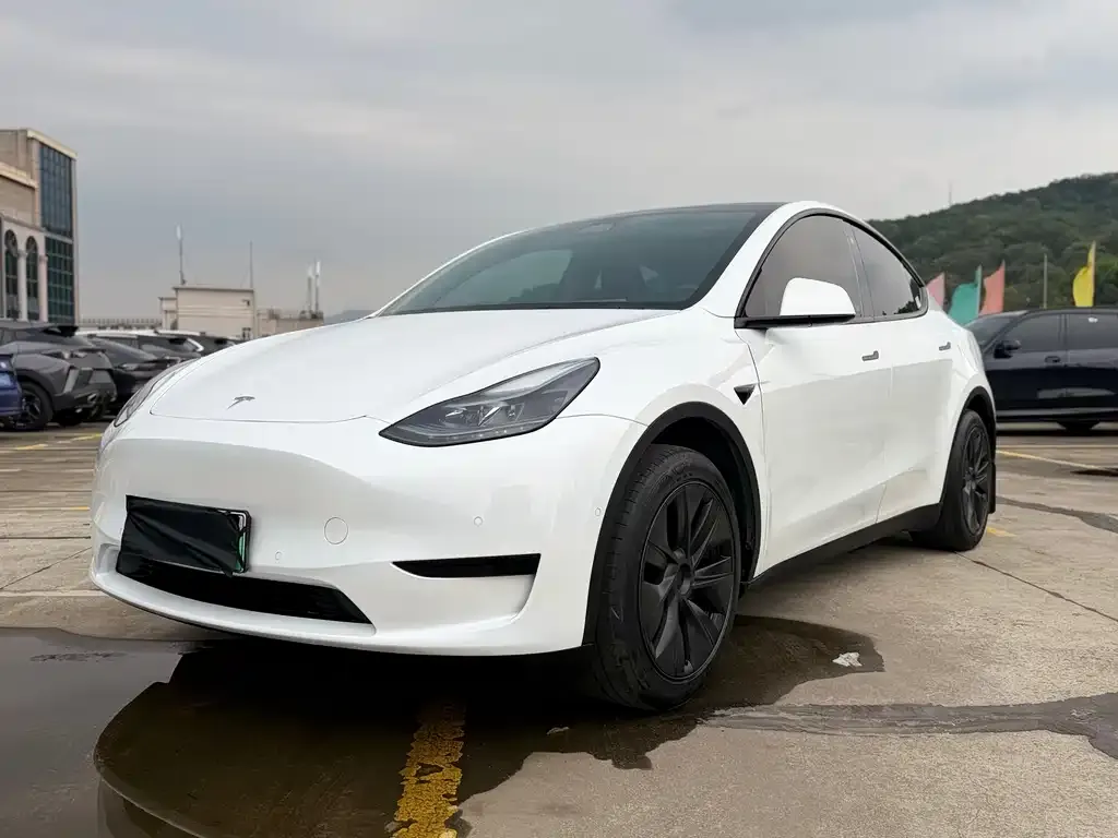 Tesla Model Y — фото 1