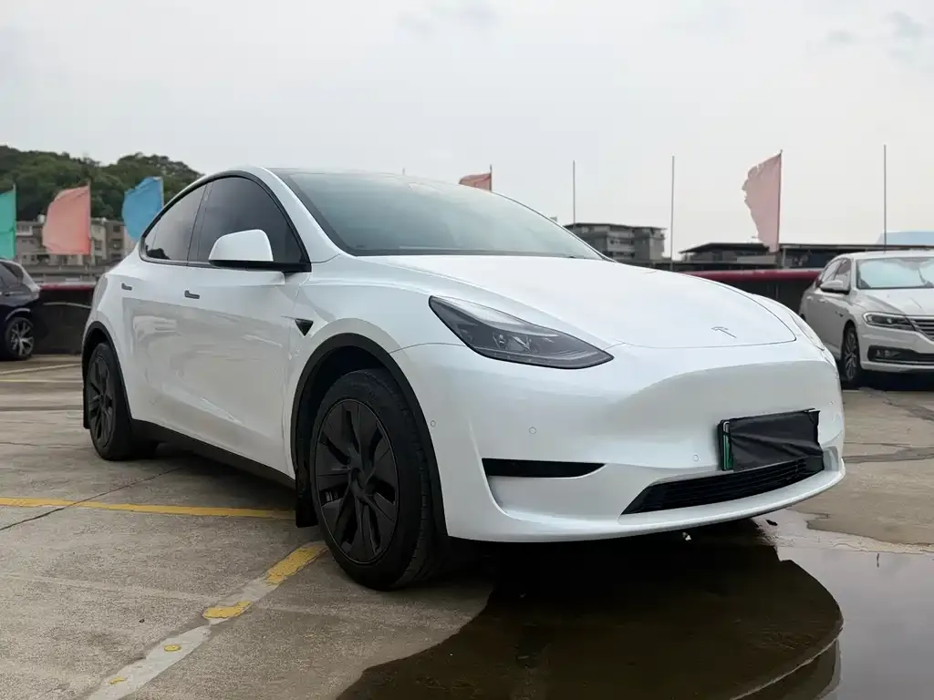 Tesla Model Y — фото 5