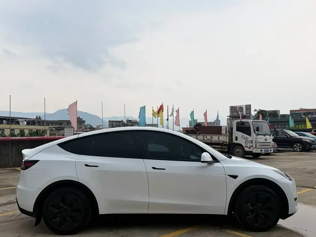 Tesla Model Y — фото 3