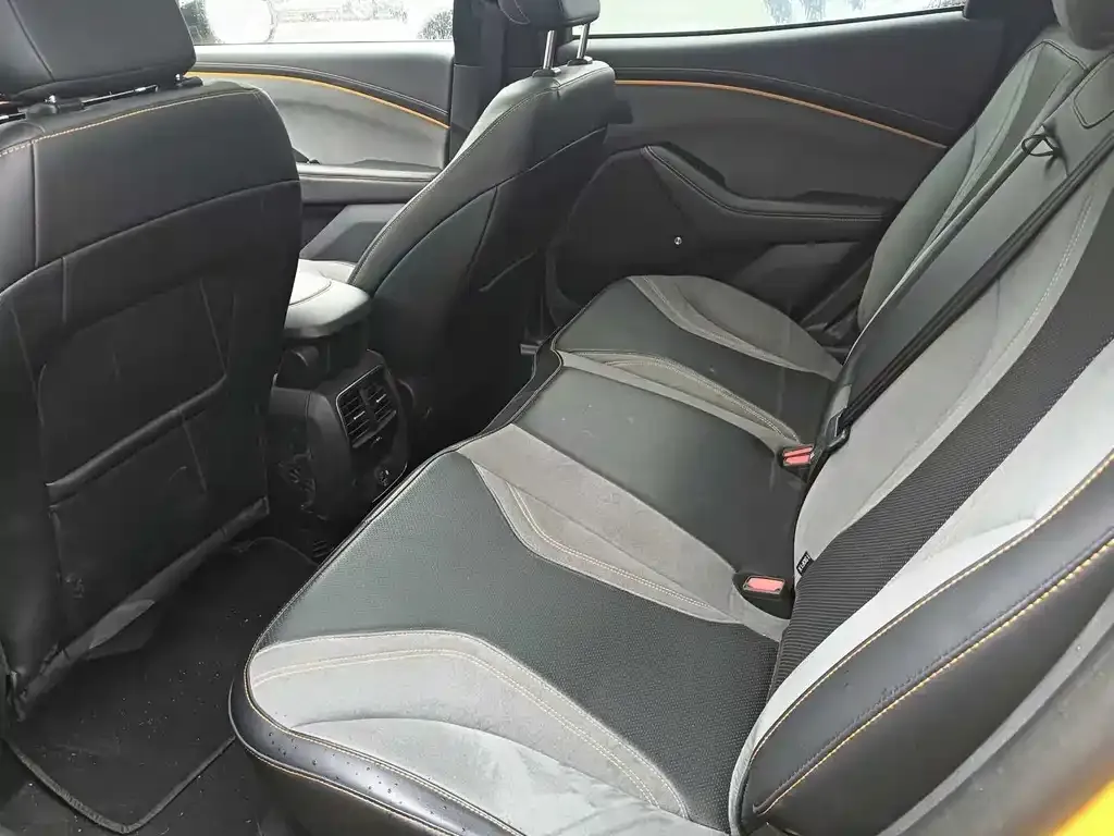 Ford Mustang Mach-E 2023 из CN, фото 3
