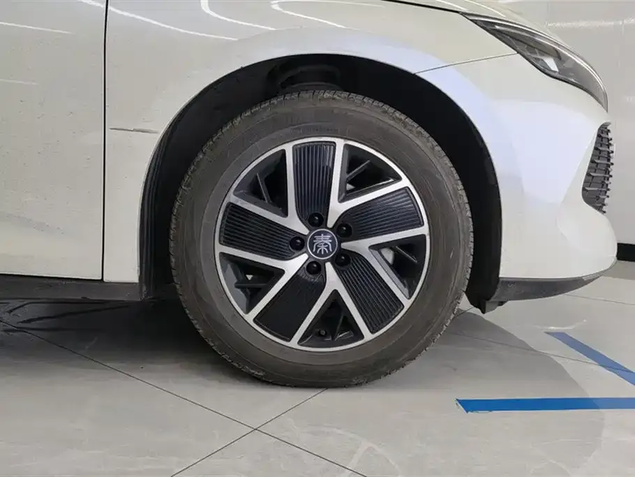 BYD Qin L 2024 из CN, фото 8