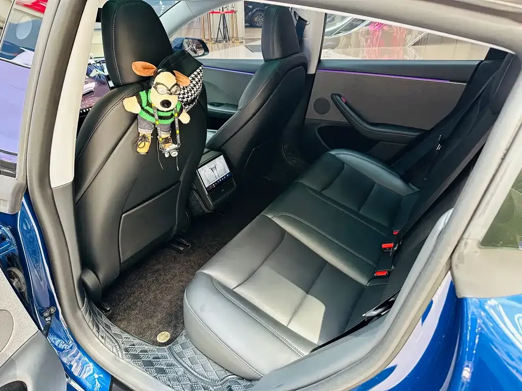 Tesla Model 3 2025 из CN, фото 9