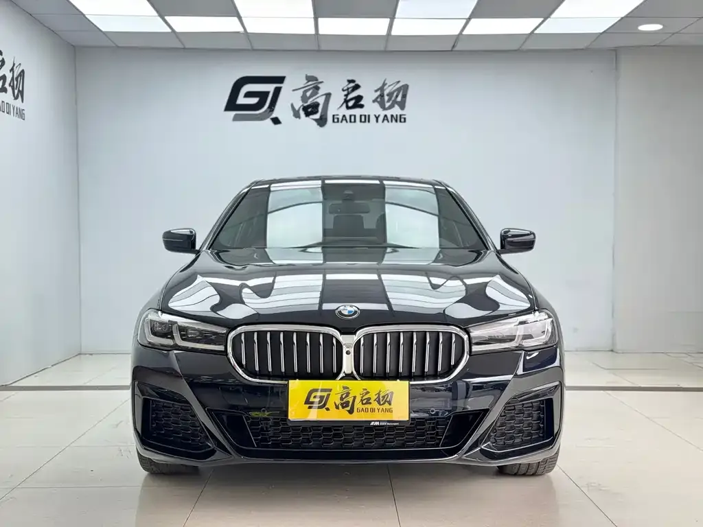 BMW 5 Series 2023 из CN, фото 2