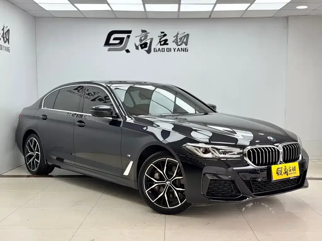 BMW 5 Series 2023 из CN, фото 6