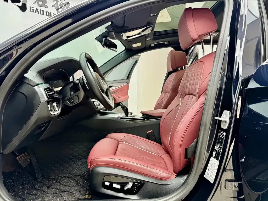 BMW 5 Series 2023 из CN, фото 9