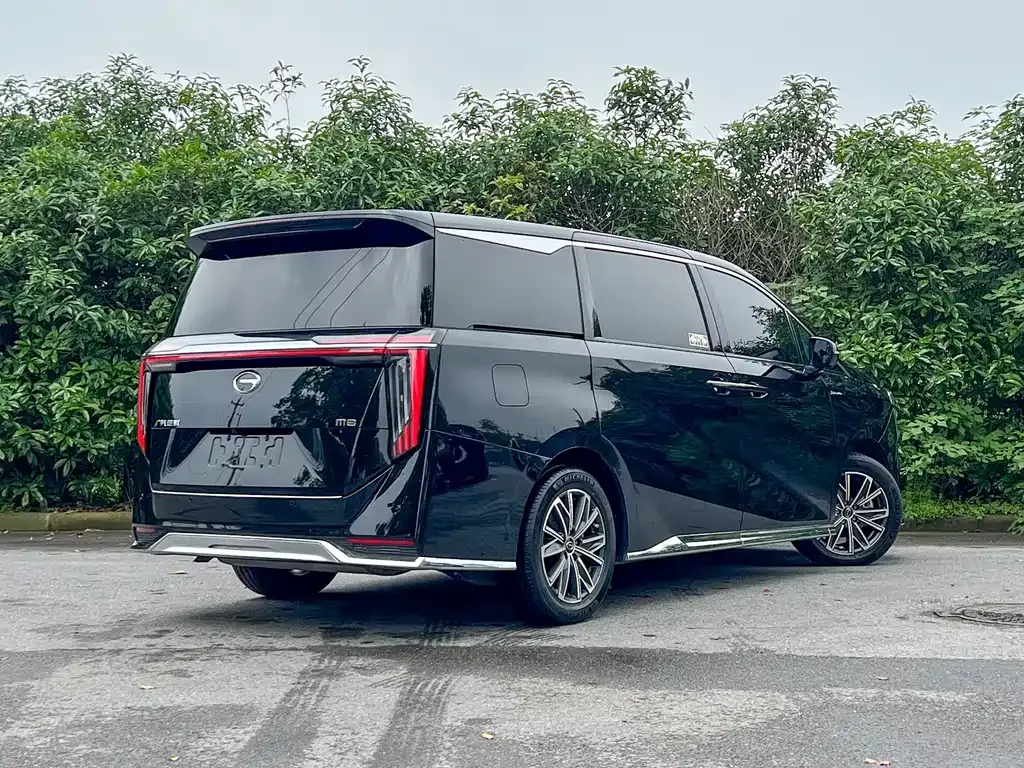 GAC Motor Trumpchi M8 2023 из CN, фото 5