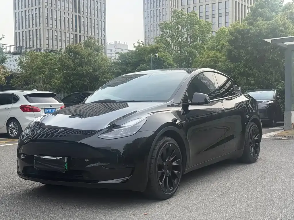Tesla Model Y — фото 1