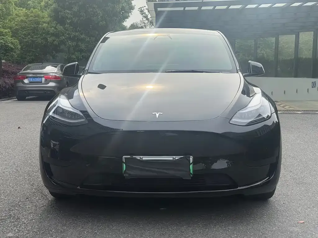 Tesla Model Y — фото 6