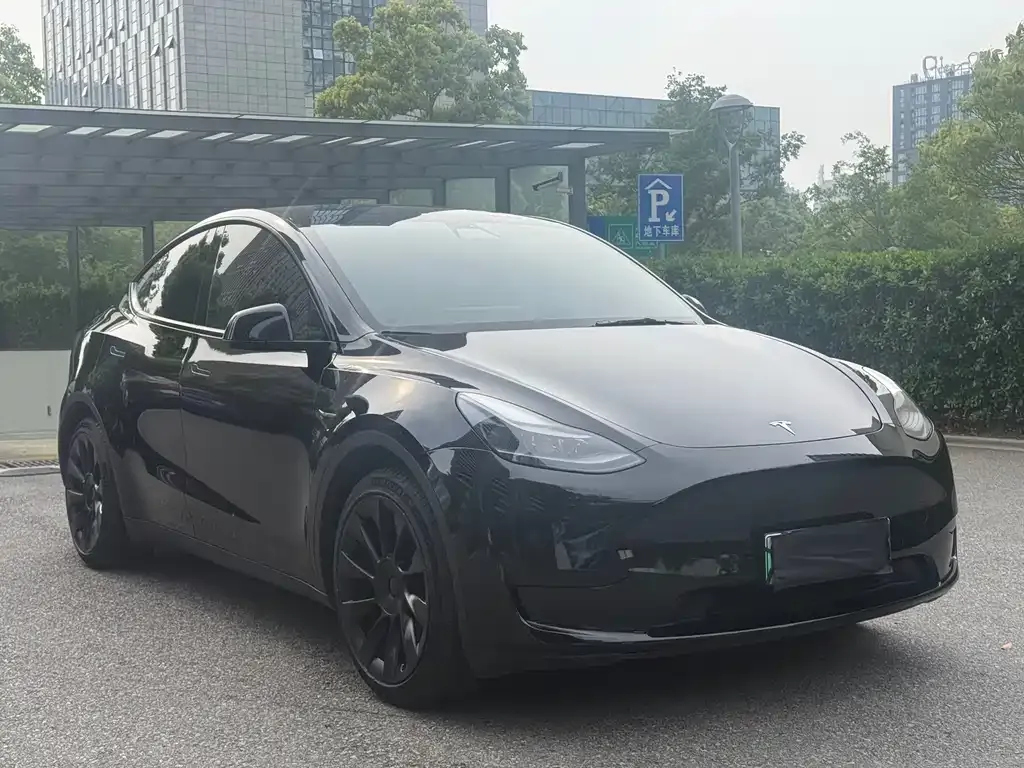Tesla Model Y — фото 4