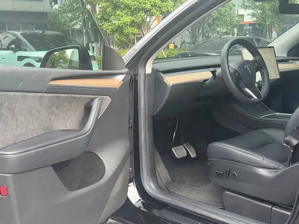 Tesla Model Y — фото 8