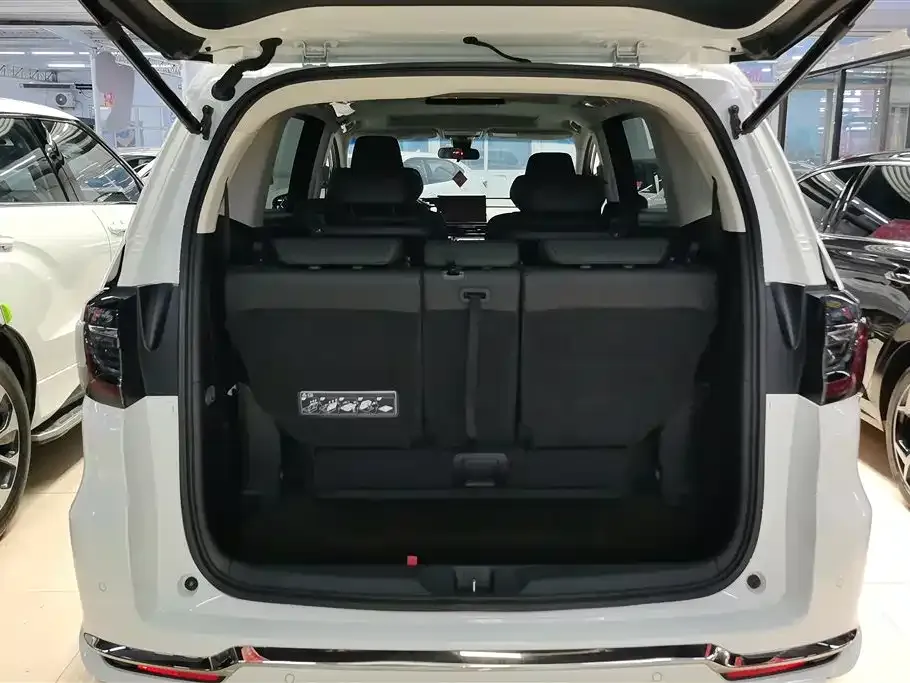 Honda Elysion 2022 из CN, фото 6