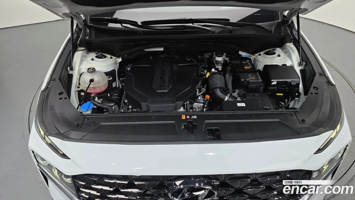 Hyundai Santafe 2021 из KR, фото 9