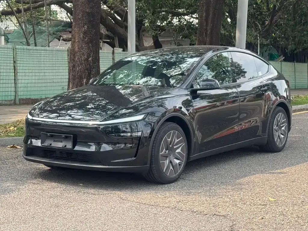 Tesla Model Y L — фото 1