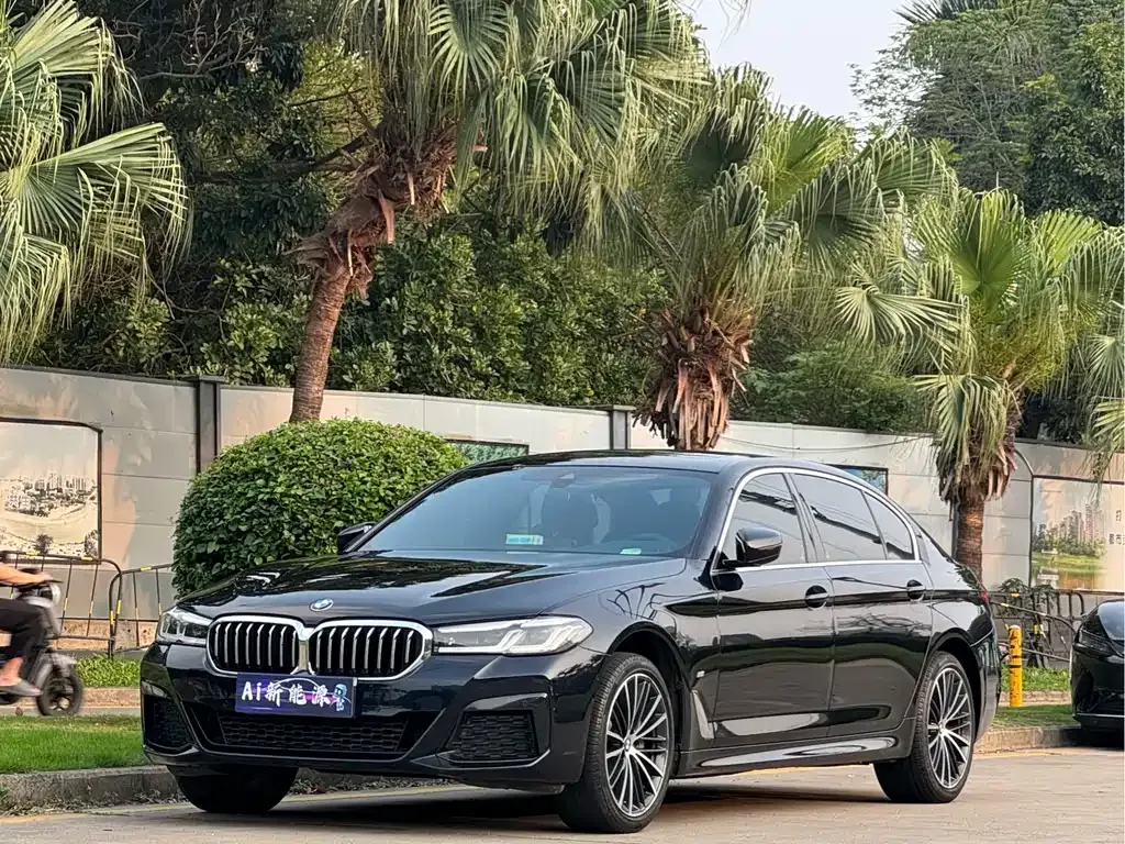 BMW 5 Series 2024 из CN, фото 1