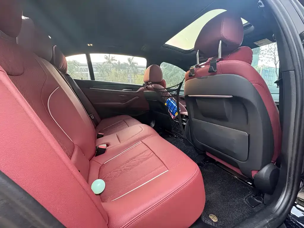 BMW 5 Series 2024 из CN, фото 5
